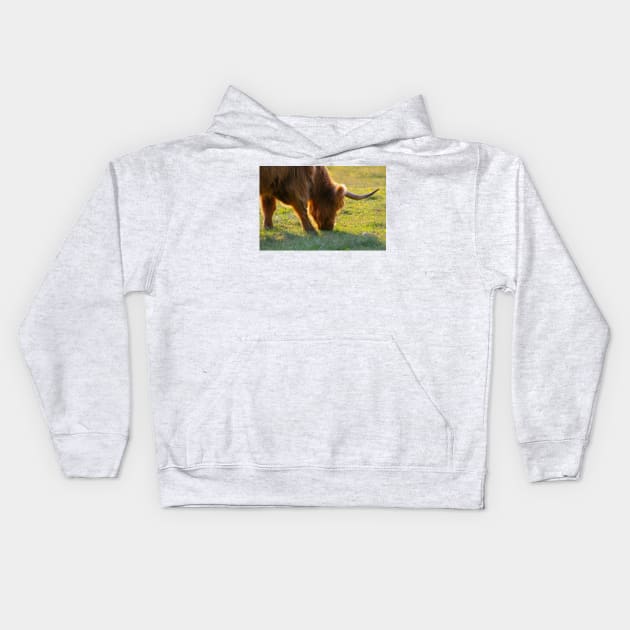 Longhorn Cattle Kids Hoodie by Rob Johnson Photography